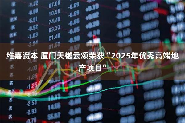 维嘉资本 厦门天樾云颂荣获“2025年优秀高端地产项目”