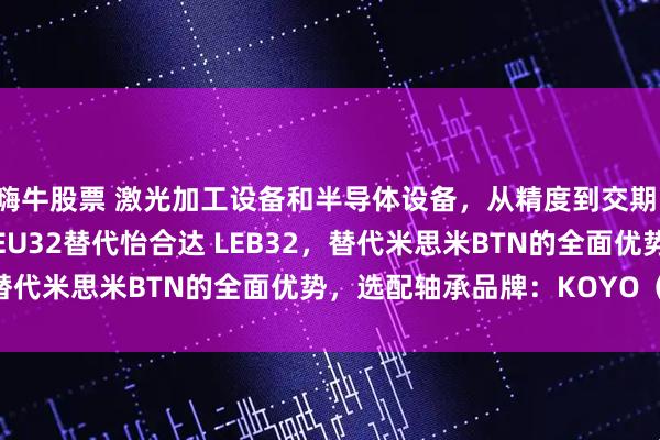 嗨牛股票 激光加工设备和半导体设备，从精度到交期：AESS 丝杠支撑座 AEU32替代怡合达 LEB32，替代米思米BTN的全面优势，选配轴承品牌：KOYO（日本）
