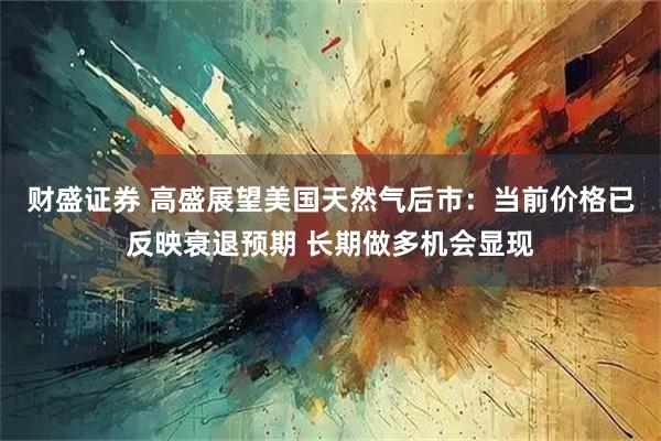 财盛证券 高盛展望美国天然气后市：当前价格已反映衰退预期 长期做多机会显现